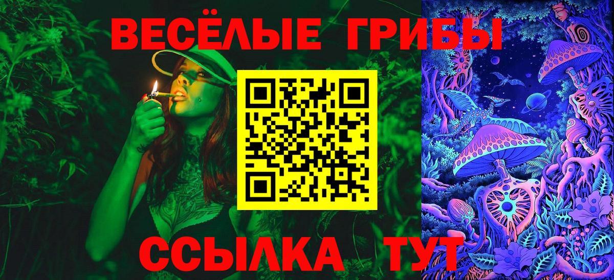 Галлюциногенные грибы GOLDEN TEACHER Алексин